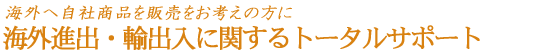 海外事業