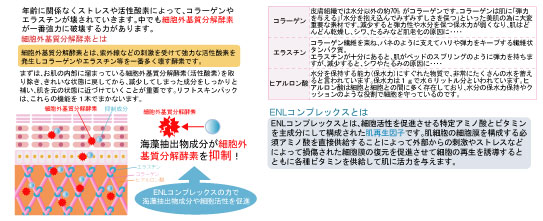 リフトスキンパック